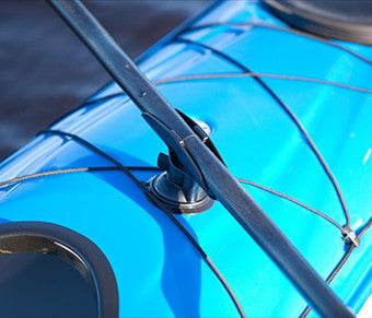 Leashes & Holders