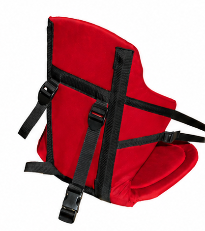 The Famous Big Back Seat
